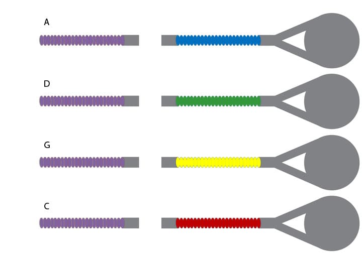 Thomastik Infeld Dominant Viola String Set - 14"-15" Size - Medium Gauge