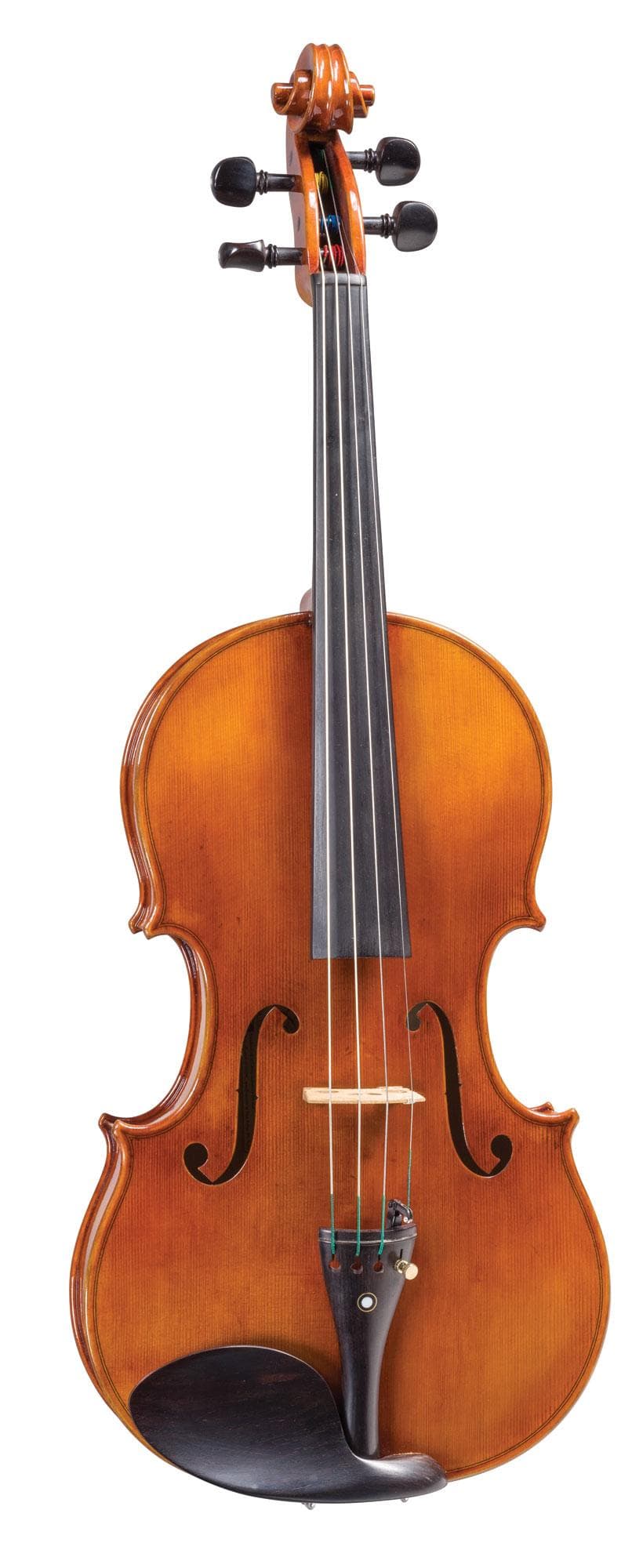 Carlo Lamberti Professional Viola for Sale