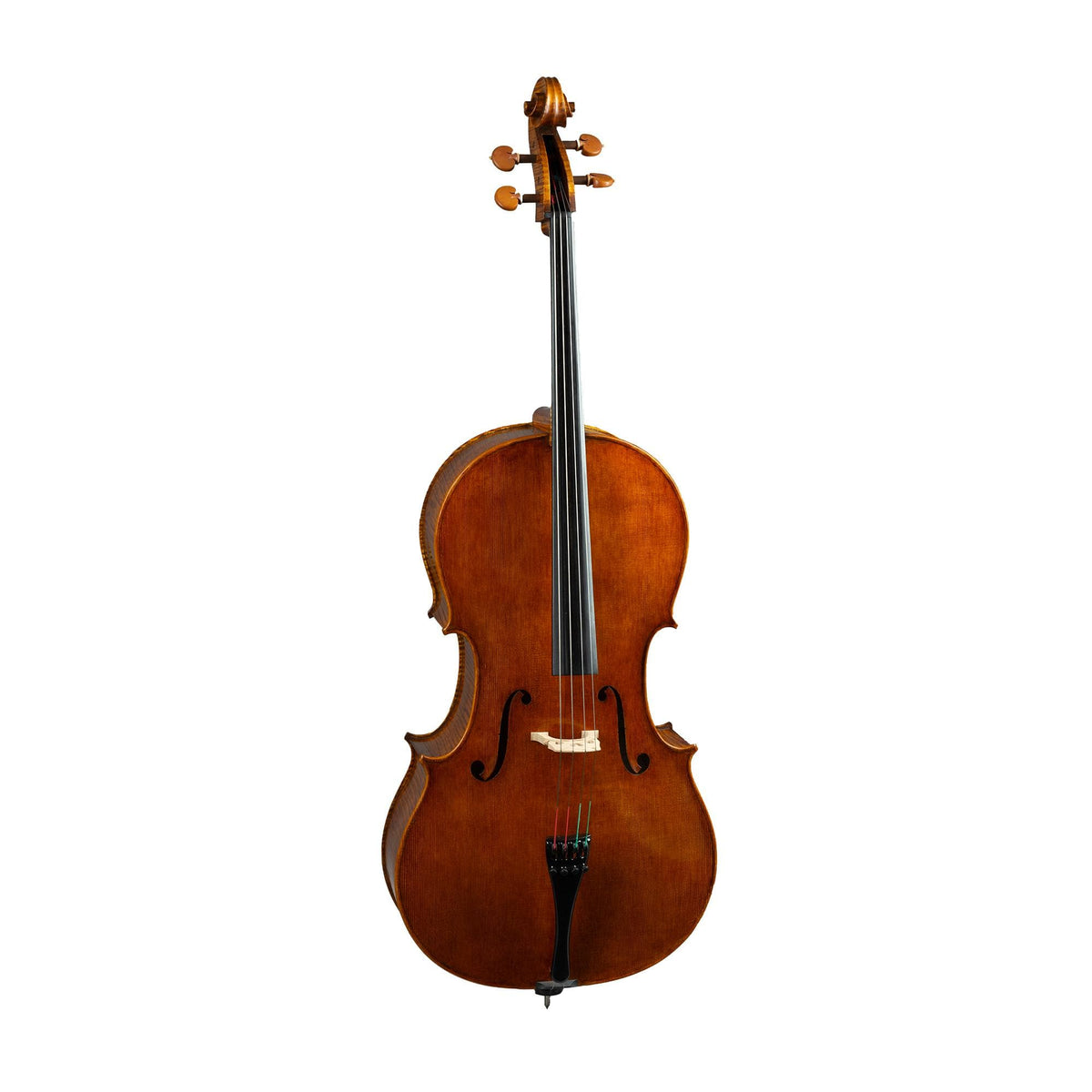 Stefano Trabucchi Cello, Cremona, 2019