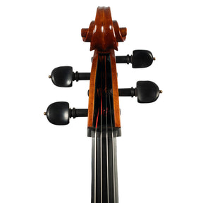 Lillo Salerno Workshop "Strad" Cello, Germany, 2023