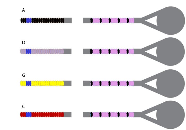 Corelli Crystal Viola String Set 4/4 size Medium Gauge