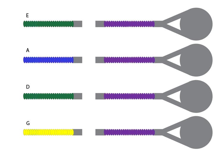 Thomastik-Infeld Peter Infeld (PI) Violin String Set - Tin-plated E/Silver D - 4/4 Size - Medium Gauge