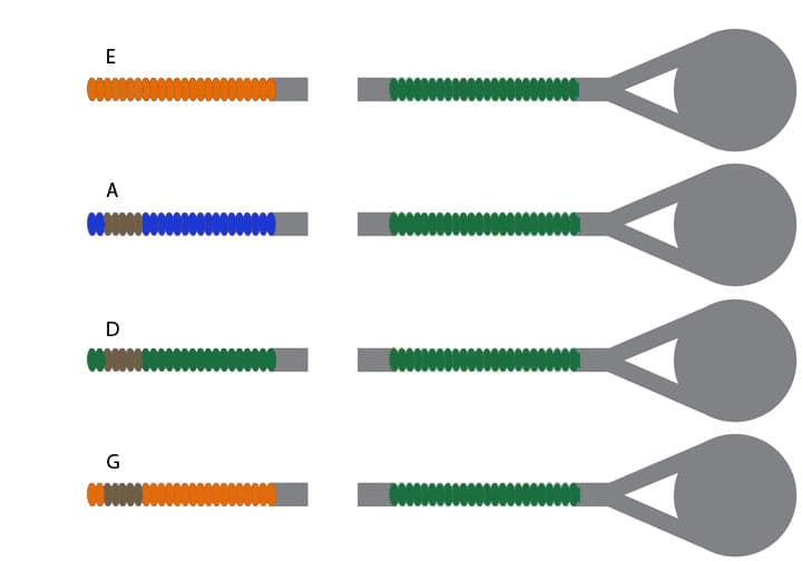 Thomastik-Infeld Vision Solo Violin String Set - 4/4 Size - Medium Gauge