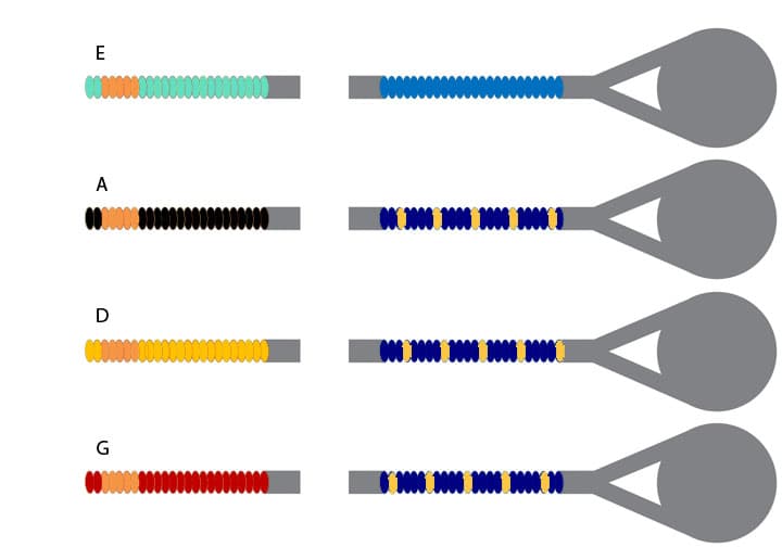D'Addario Helicore Violin String Set - 4/4 Size - Heavy Gauge