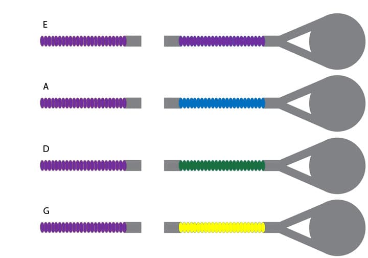 Thomastik-Infeld Dominant Violin String Set - Steel E - 1/8 Size - Medium Gauge - Ball End