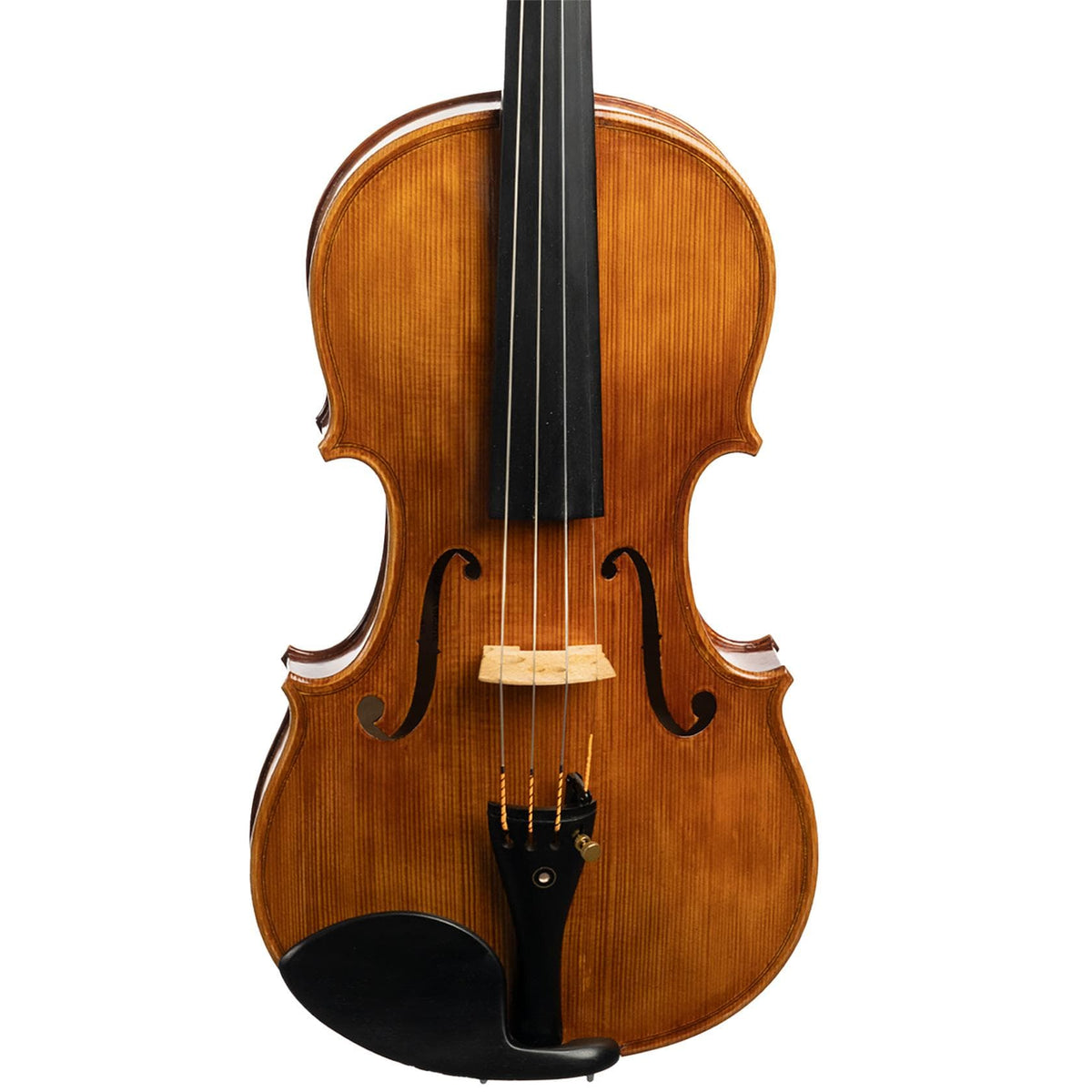 William Belote Workshop Violin, Ann Arbor, 2020