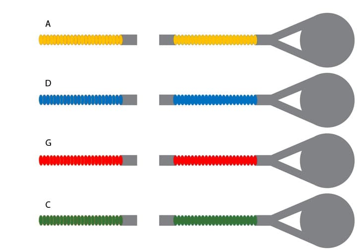 Overture Cello String Set 1/4 Size