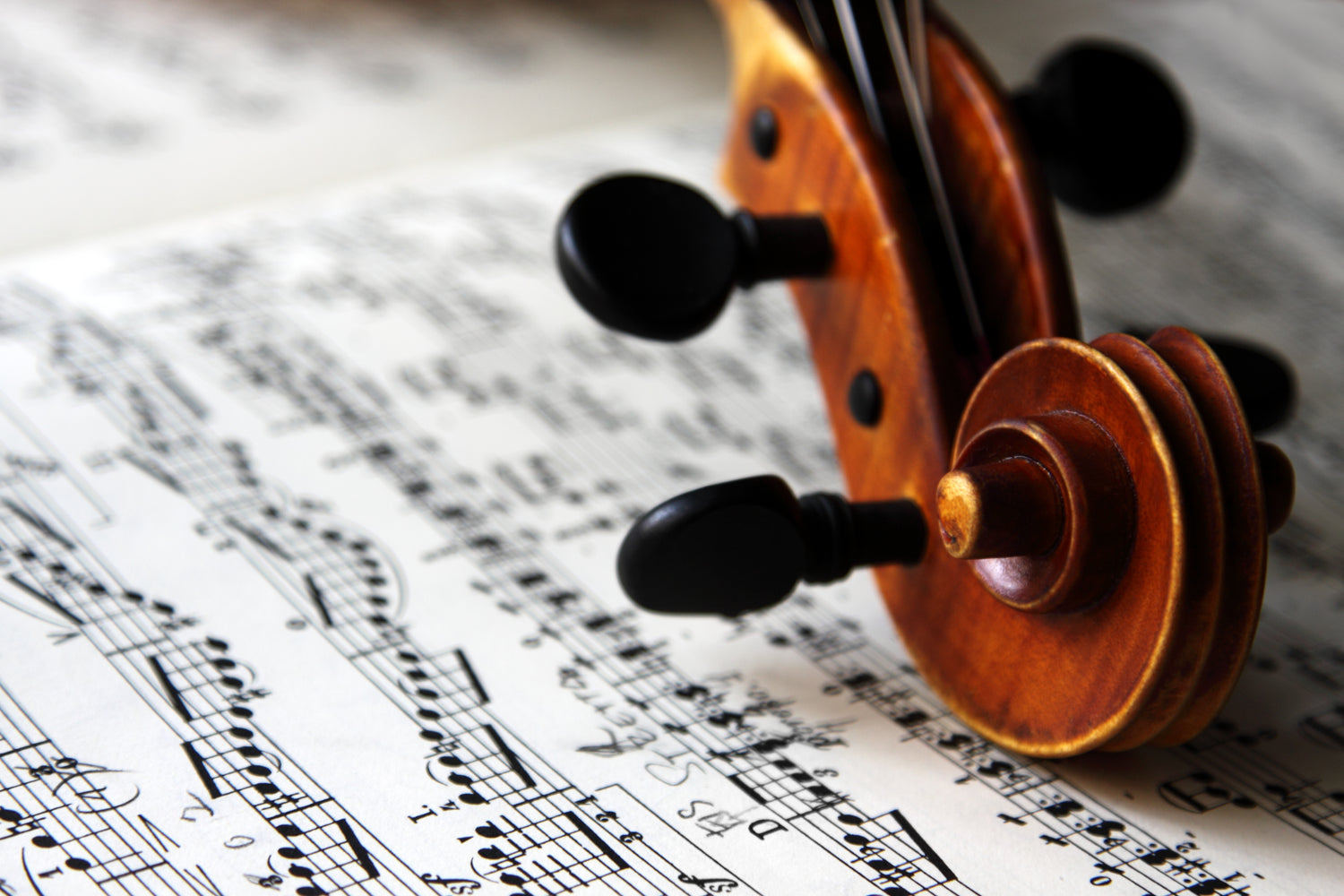 Finding the Best Violin for Beginners