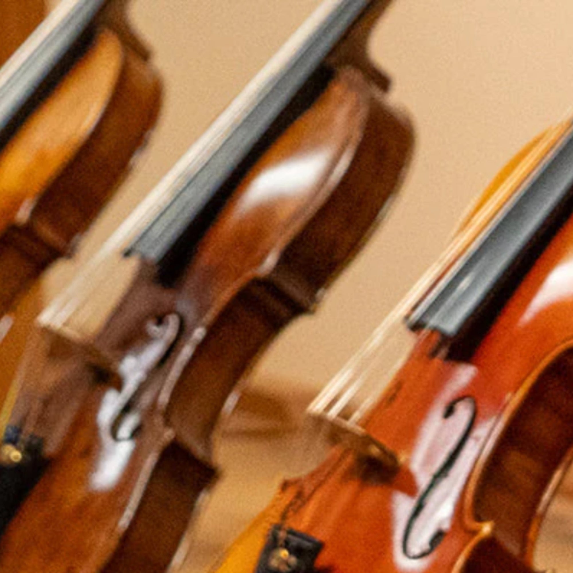 🎻 Fall & Winter Instrument Care: 5 Essentials Every String Player Should Know 🍂