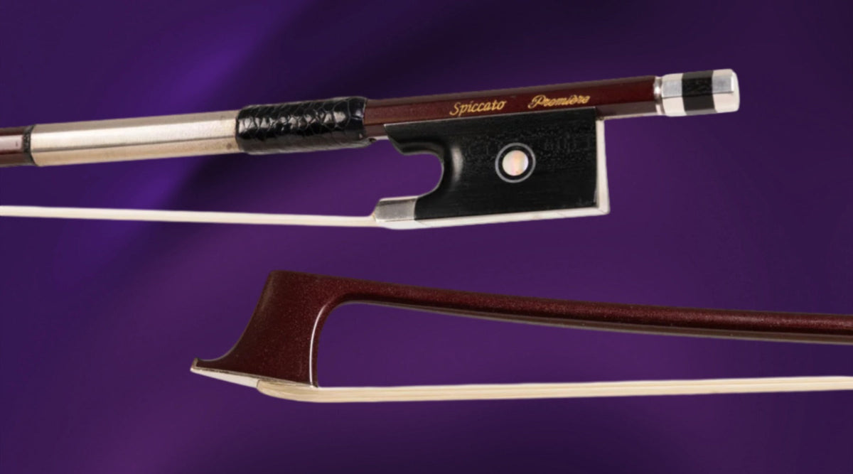 The Bow Guide: Do I Need a New Bow?
