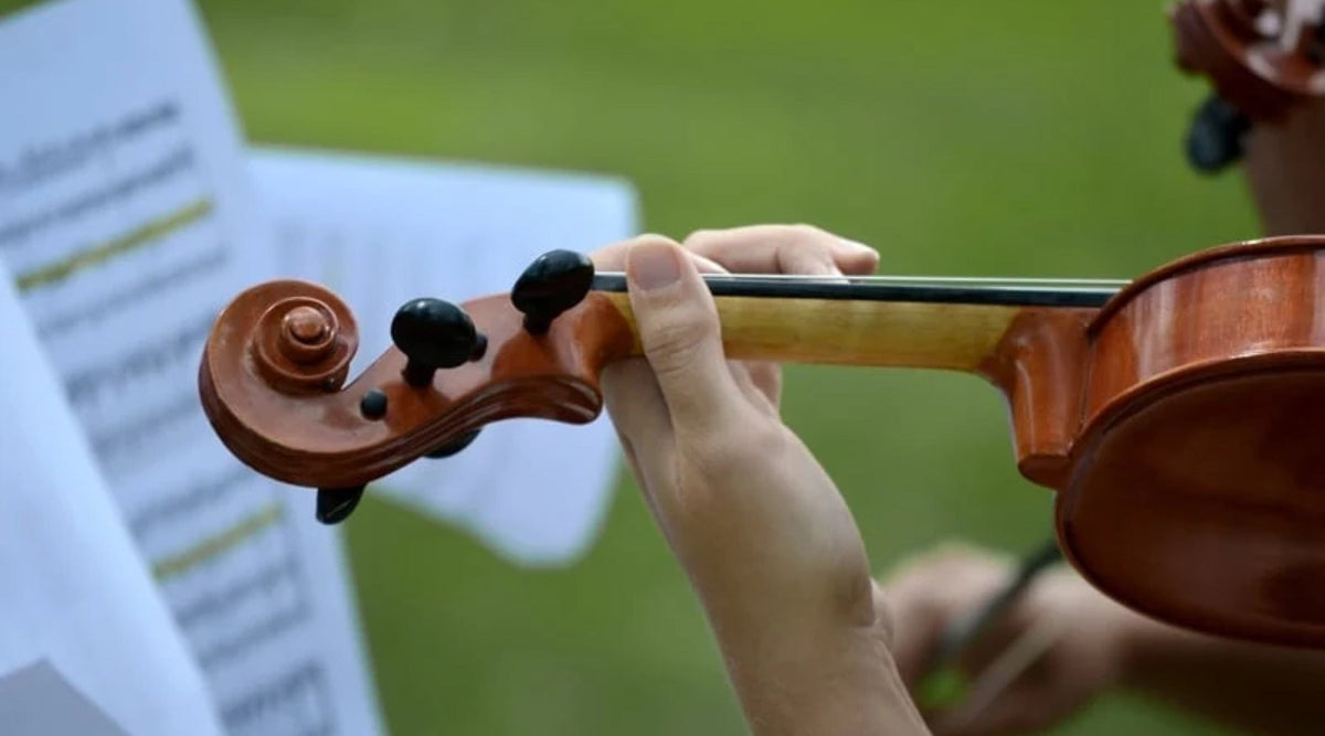String Musician Essentials for Outdoor Wedding Gigs!