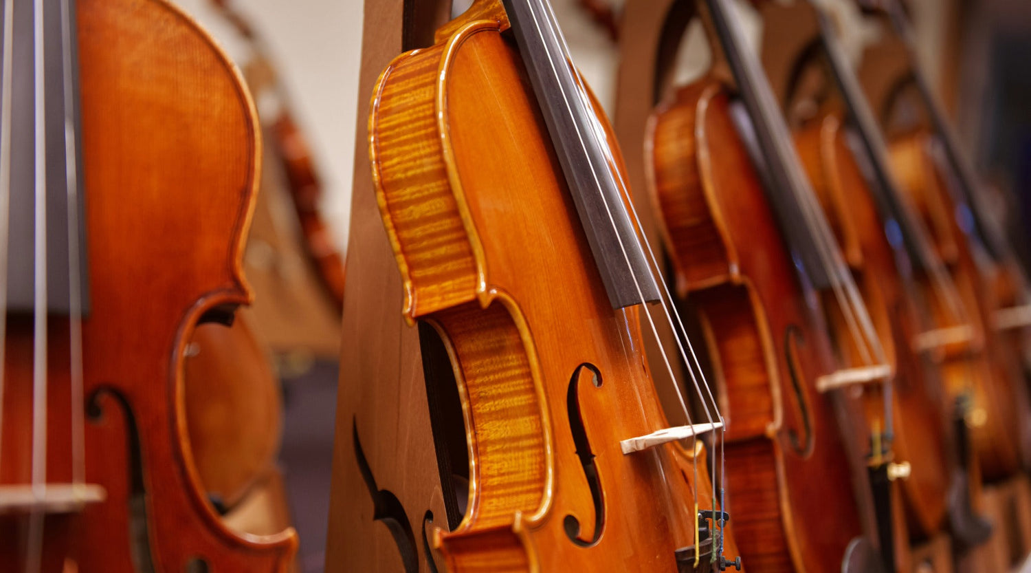 Violin Buying Guide: Professional vs Student Instruments Comparison