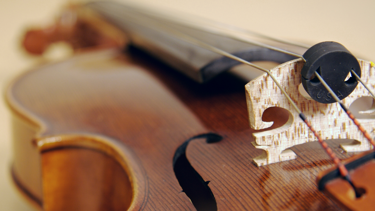 String Mutes: What Difference Do They Make?