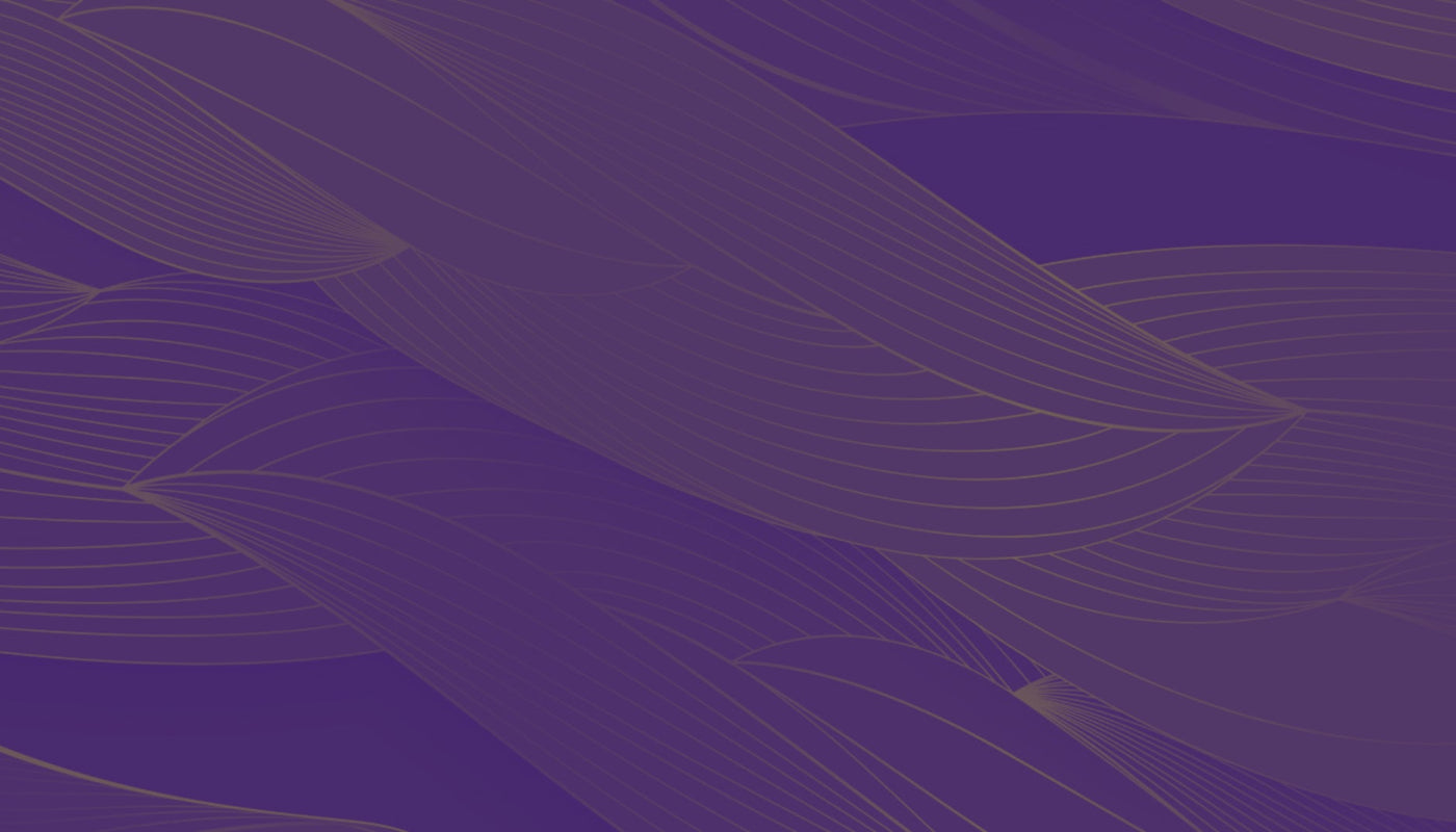 German Violins Feature