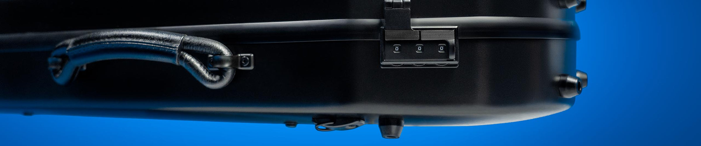 Carbon Fiber Viola Cases BAM, Lion Case, GL Combi