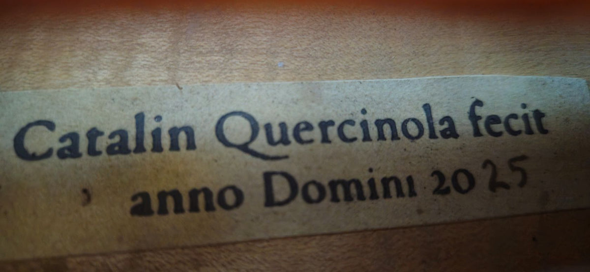 Catalin Quercinola Viola, Eudora, 2025, 15 3/4