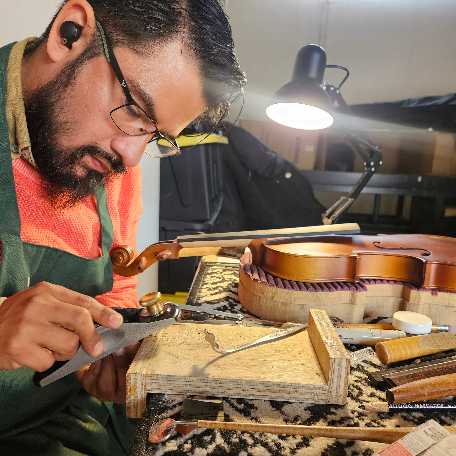 Martin Cruz Aragon Viola, Queretaro, 2025, 15 1/2"