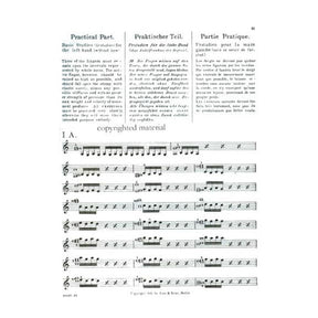 Flesch, Carl - Urstudien - Basic Studies For Violin - Carl Fischer Edition