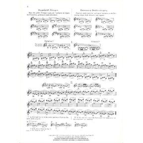 Sevcik, Otakar - Preparatory Exercises In Double-Stopping, Opus 9 - for Violin - G Schirmer