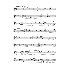Rieding, Oskar - Violin Concerto in B Minor, Op 35 - Violin and Piano - edited by Kurt Sassmannshaus - Bärenreiter
