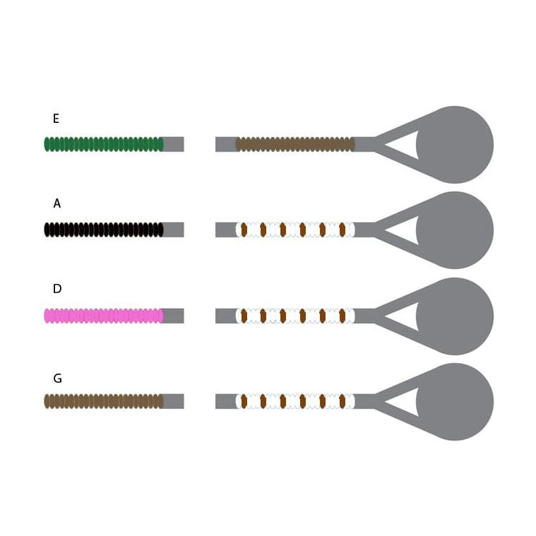 Pirastro Passione Violin String Set - Medium Gauge - Ball End E