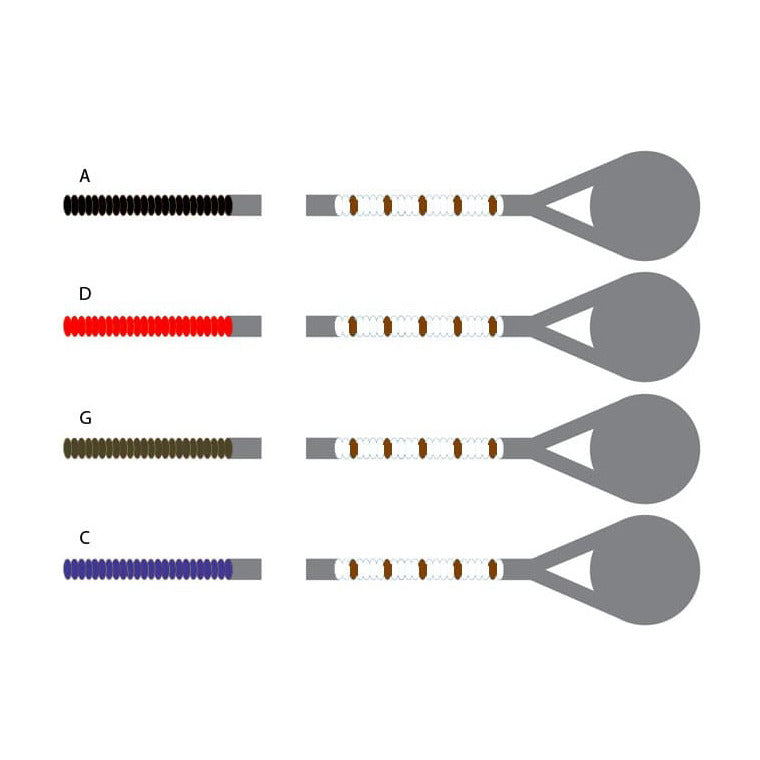 Pirastro Passione Viola String Set Medium
