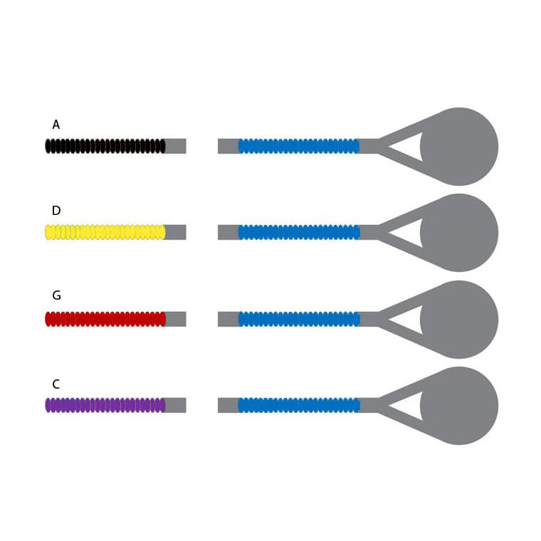 D'Addario Prelude Viola Set - Medium - 15-16 Size