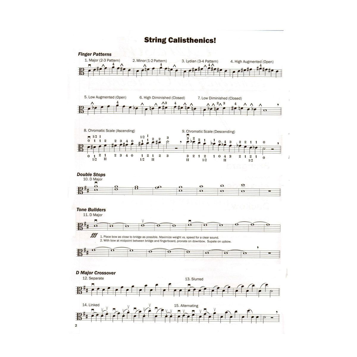 Expressive Techniques for Orchestra Viola