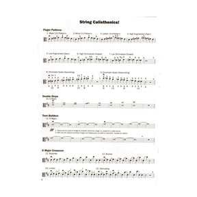Expressive Techniques for Orchestra Viola