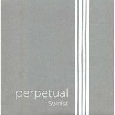 Pirastro Perpetual Soloist Cello C-String - 4/4 Size - Medium Gauge