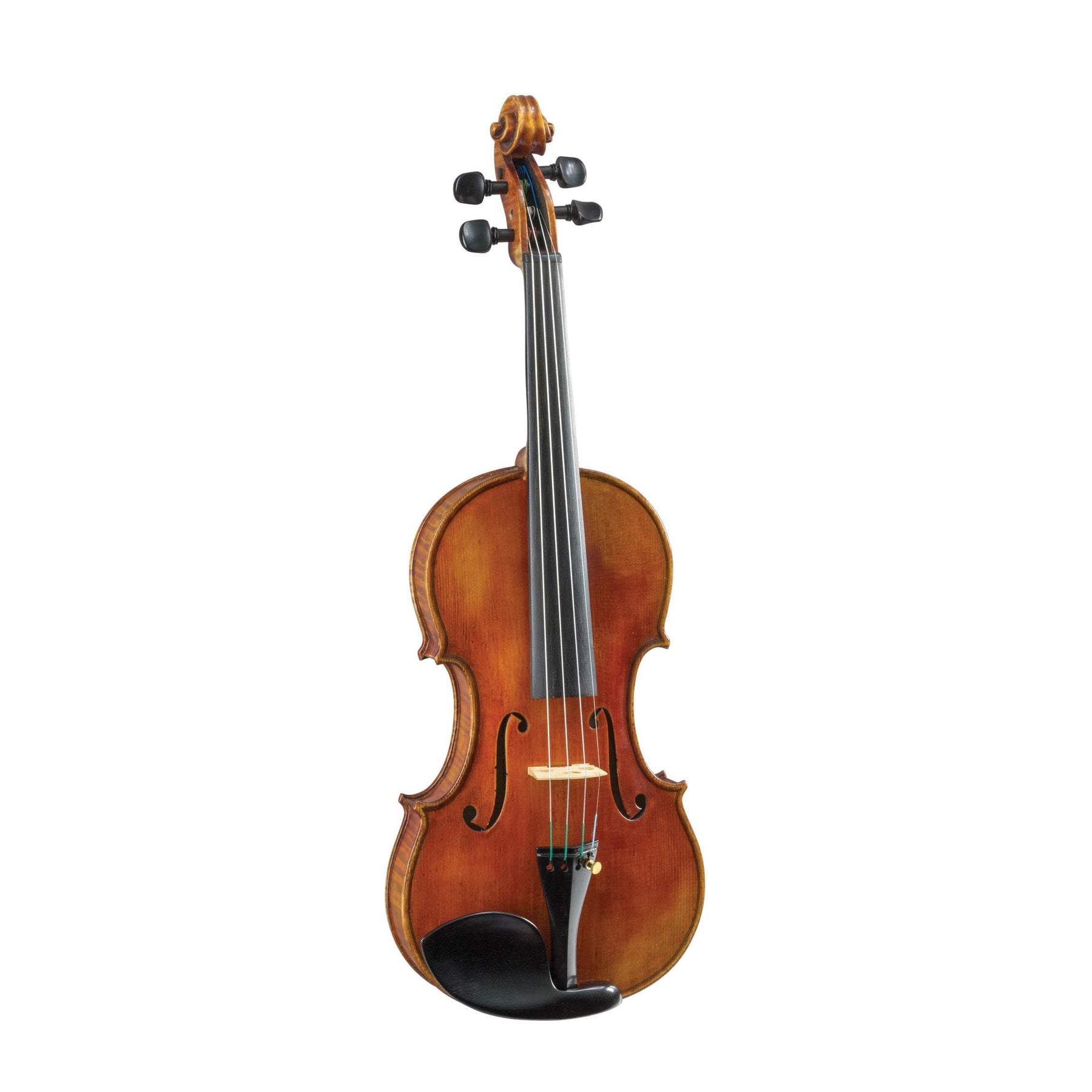 Blemished Budapest Lutherie Violin
