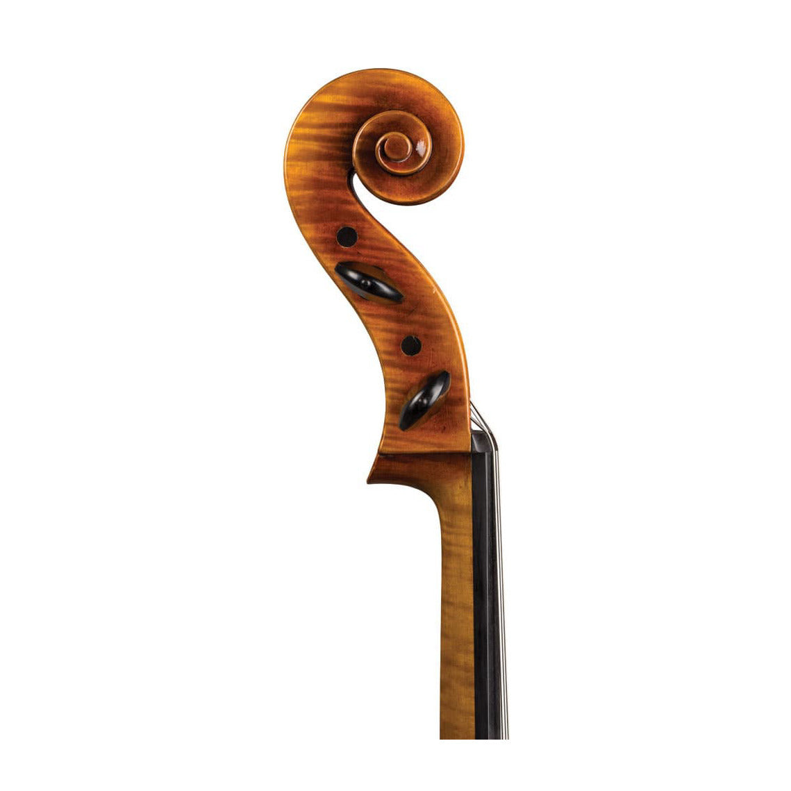 Ming-Jiang Zhu Artist Cello