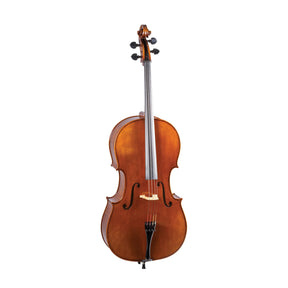 Rainer W. Leonhardt Cello, No. 36