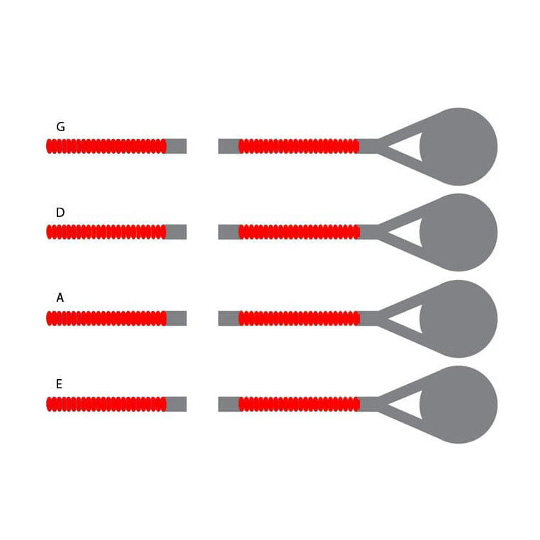 Thomastik-Infeld Spirocore Orchestra Double Bass String Set - 3/4 Size - Medium Gauge