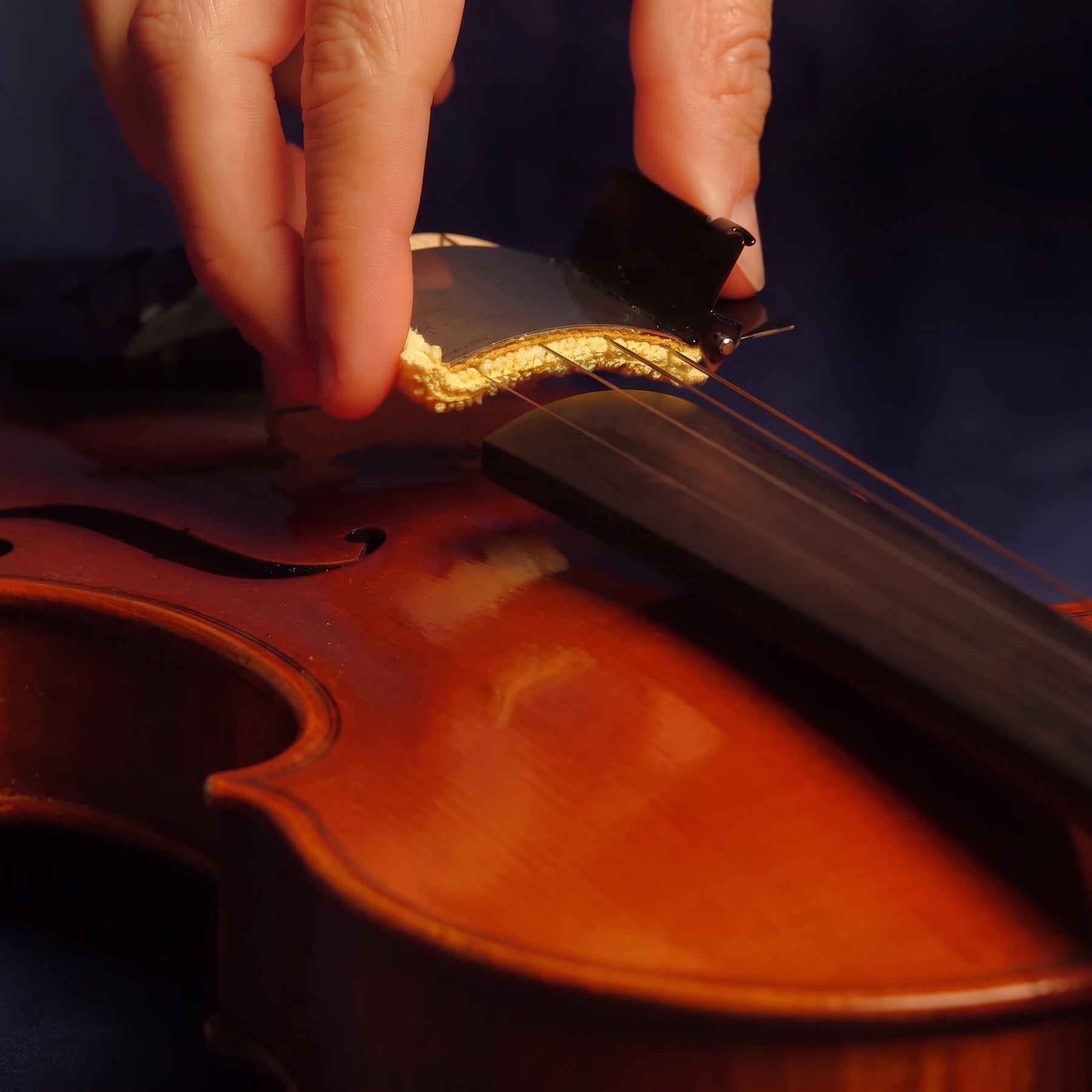 The String Cleaner for Violin and Viola
