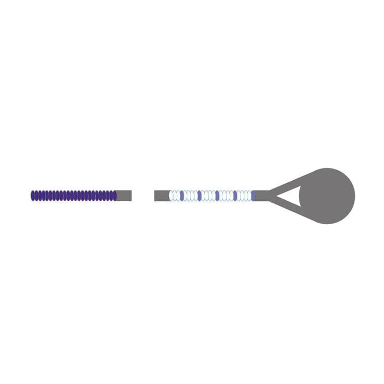 Pirastro Eudoxa Viola C-String