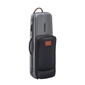 GL Combi Violin Case