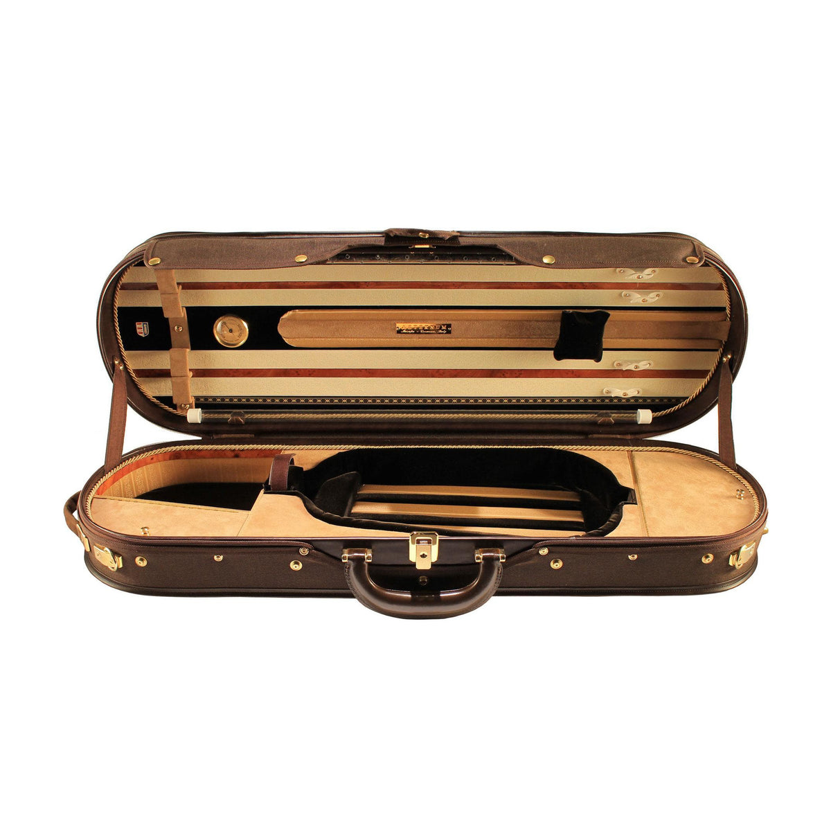 Aeternum Aureum Violin Case