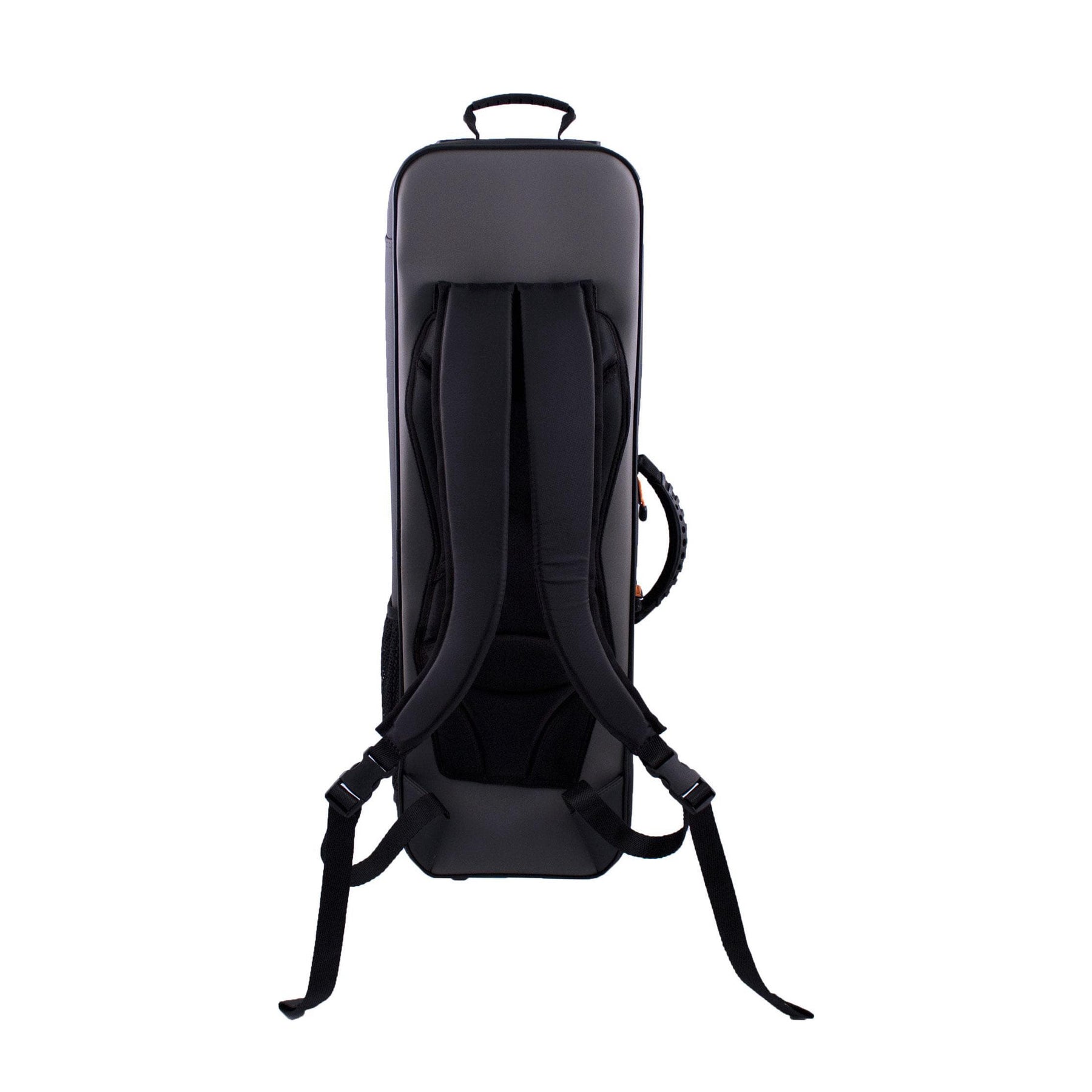 Bam Peak Oblong Violin Case