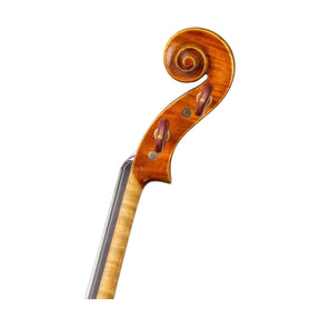 Stefano Trabucchi Violin, Cremona, 2016