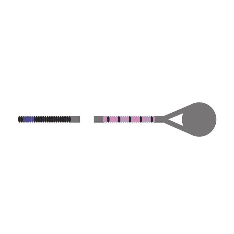 Corelli Crystal Viola A String Medium