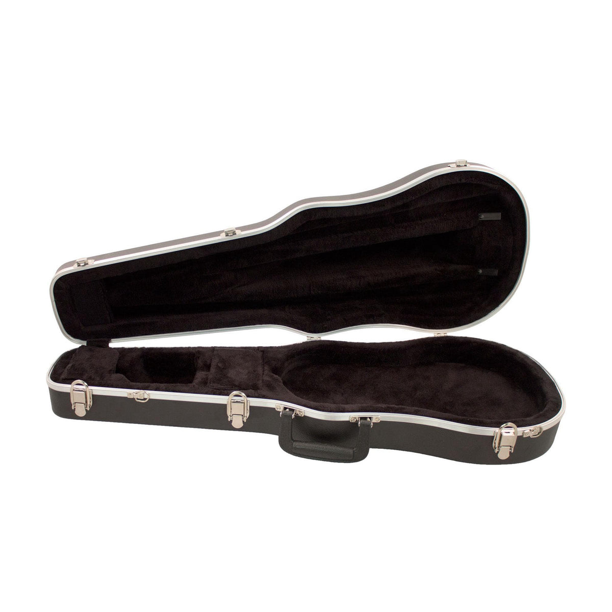 Thermoplastic Viola Case