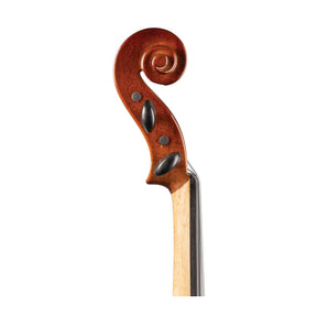 SharWay Standard Violin Outfit