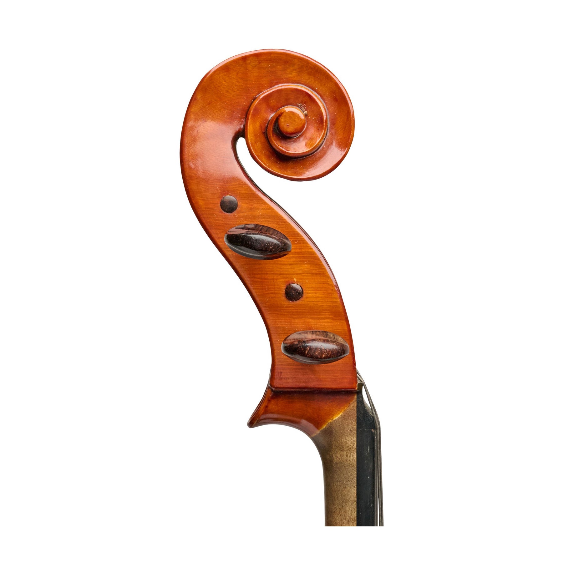 Erwin Hertel Viola, New York, 1972, 16"