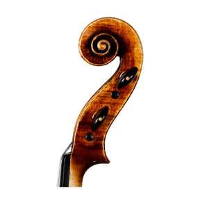 Martin Cruz Aragon Viola, Queretaro, 2025, 15 1/2"