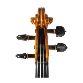 Ali Hosseini Violin, Hamedan, 2025