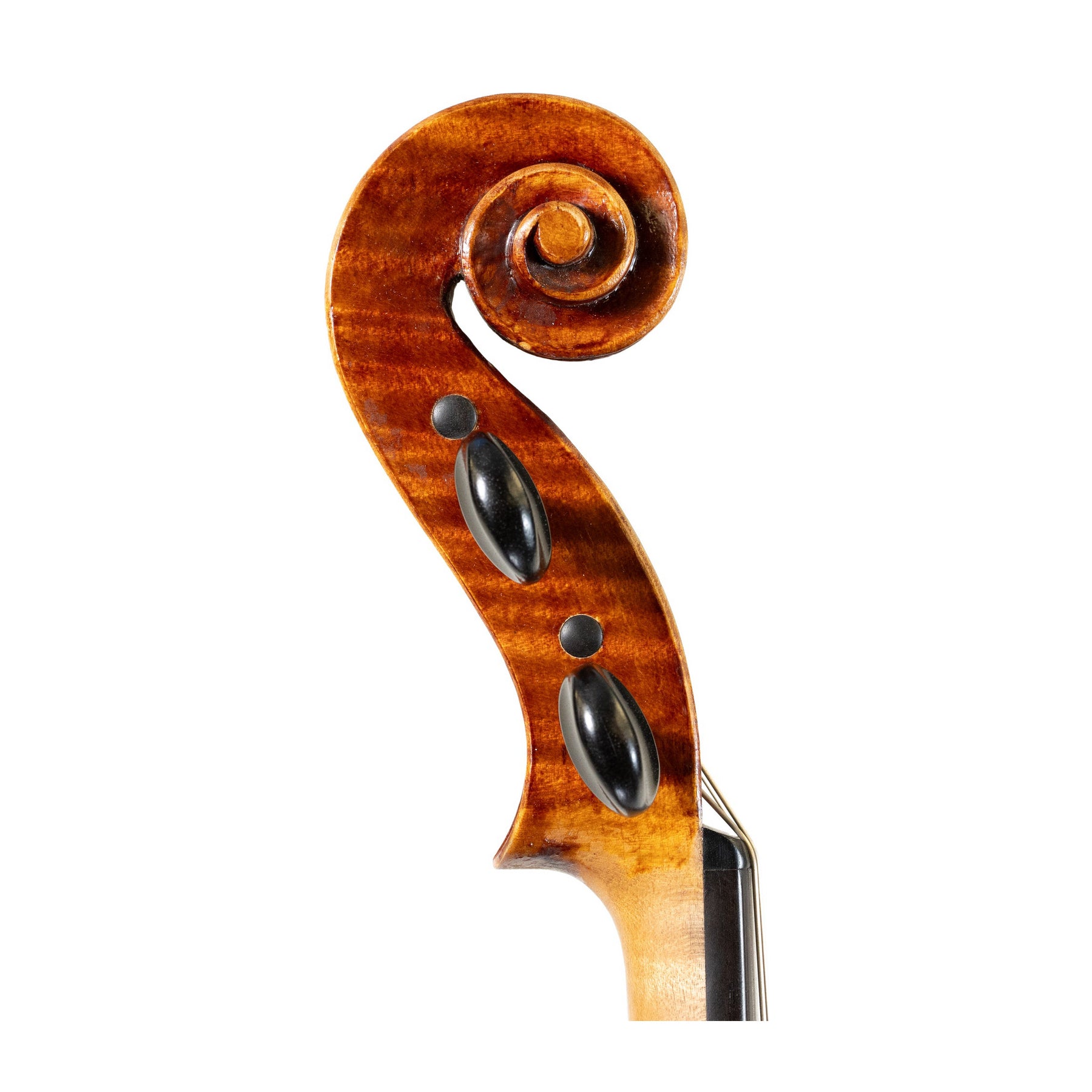 Todd Goldenberg Viola, North Berwick, 2023, 16"