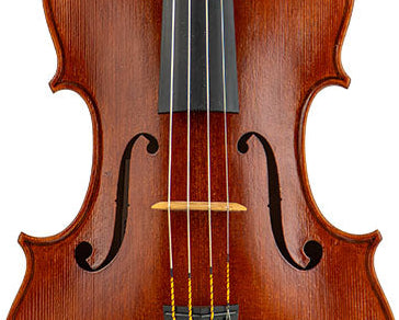 Carrie Scoggins Viola, Salt Lake City, 2024, 16