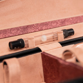 American Case Company Continental Signature Dart Violin Case, Champagne Interior, Open Case, Vapor Tube Feature