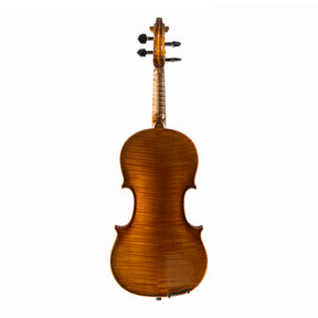Ali Hosseini Violin, Hamedan, 2025